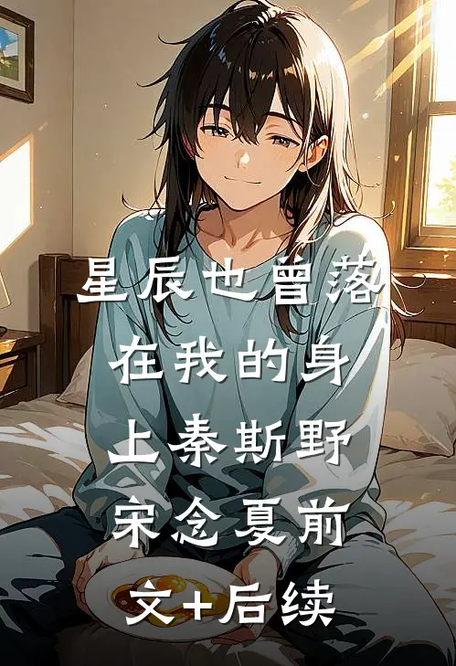 星辰也曾落在我的身上秦斯野宋念夏前文+后续