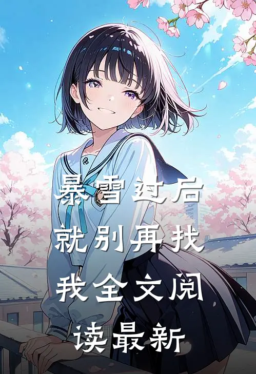 暴雪过后，就别再找我全文阅读最新