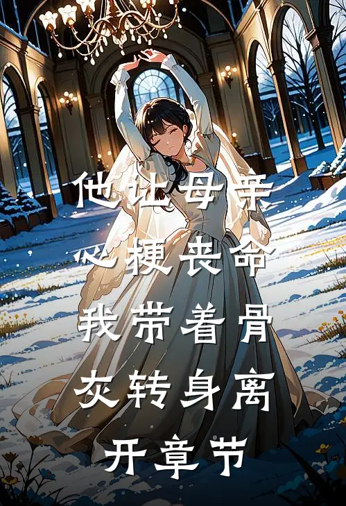 他让母亲心梗丧命，我带着骨灰转身离开章节