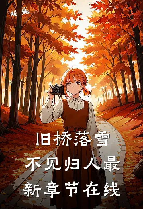 旧桥落雪,不见归人最新章节在线观看