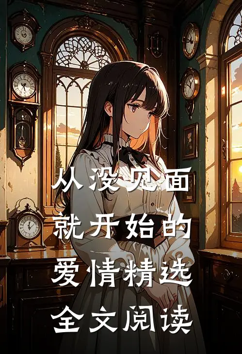 从没见面就开始的爱情精选全文阅读