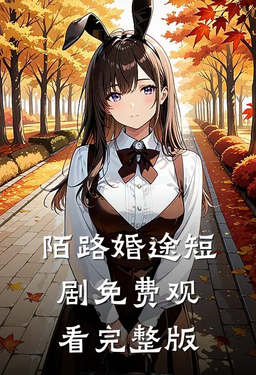 陌路婚途短剧免费观看完整版