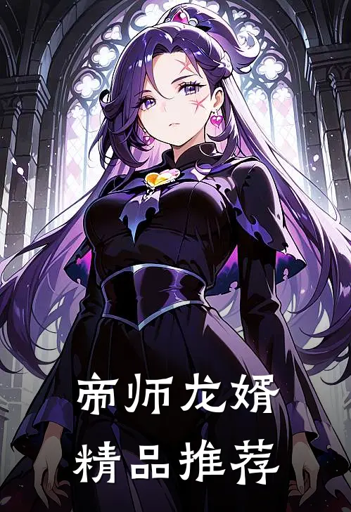 帝师龙婿精品推荐