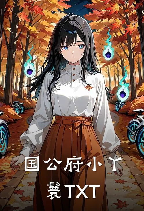国公府小丫鬟TXT