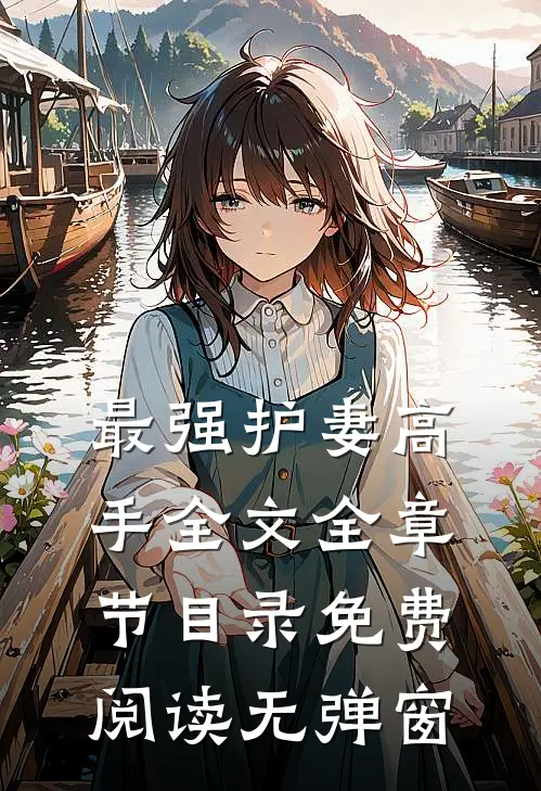 最强护妻高手全文全章节目录免费阅读无弹窗