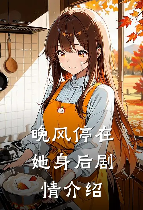 晚风停在她身后剧情介绍