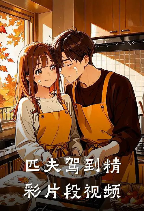 匹夫驾到精彩片段视频