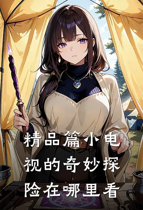 精品篇小电视的奇妙探险在哪里看