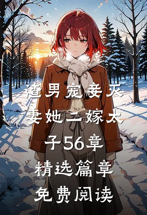 渣男宠妾灭妻她二嫁太子56章精选篇章免费阅读
