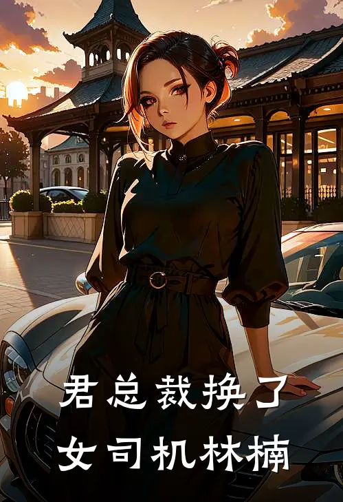 君总裁换了女司机林楠