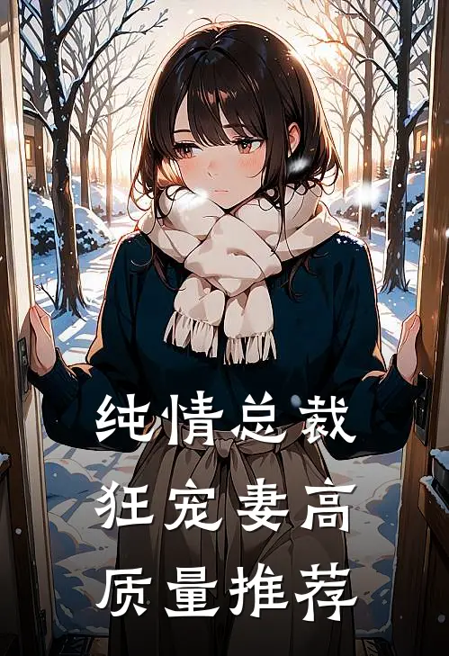 纯情总裁狂宠妻高质量推荐