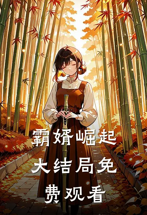 霸婿崛起大结局免费观看