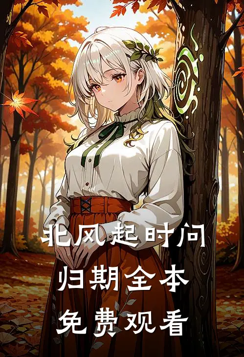 北风起时问归期全本免费观看