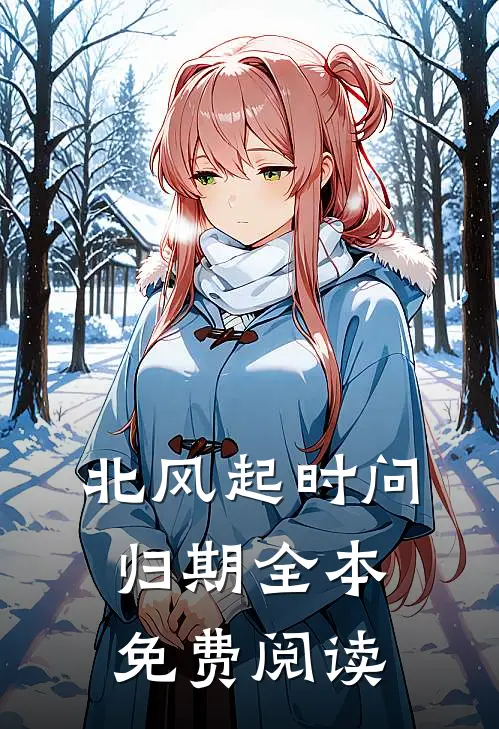 北风起时问归期全本免费阅读