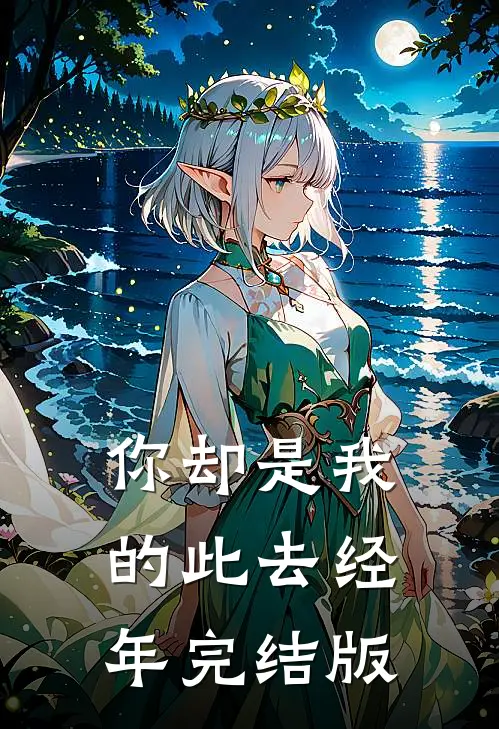 你却是我的此去经年完结版