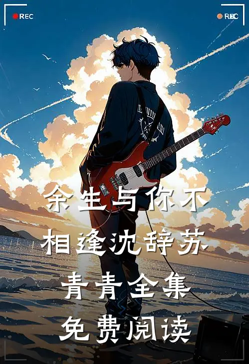 余生与你不相逢沈辞苏青青 全集免费阅读