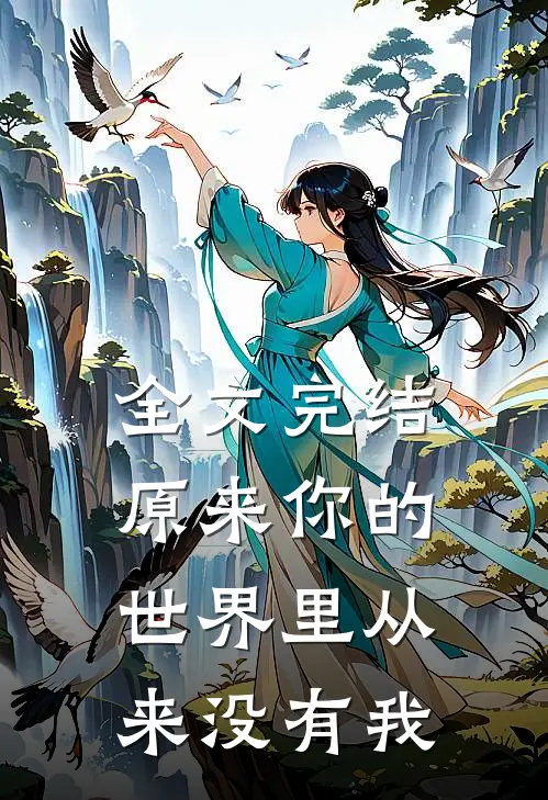 全文完结原来你的世界里从来没有我