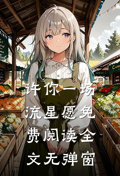 许你一场流星愿免费阅读全文无弹窗