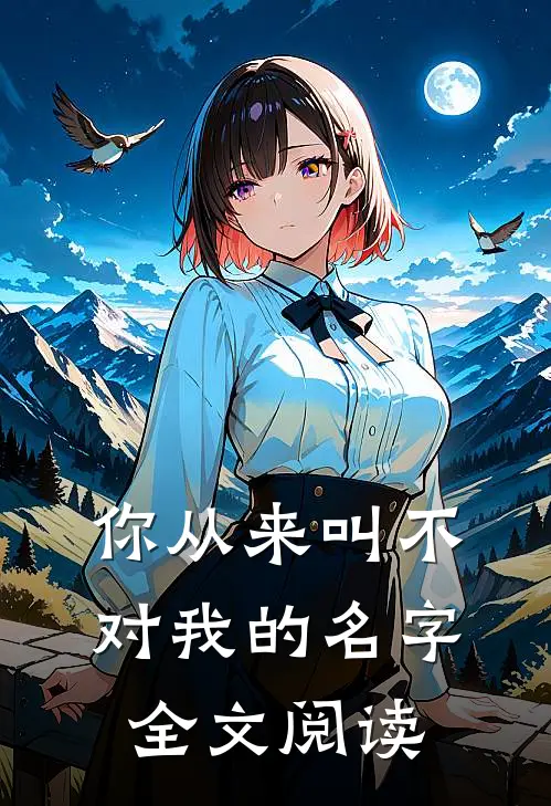 你从来叫不对我的名字全文阅读