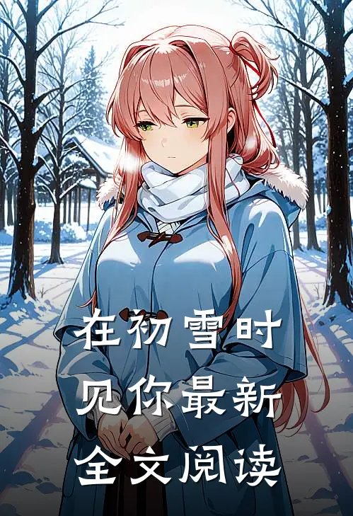 在初雪时见你最新全文阅读