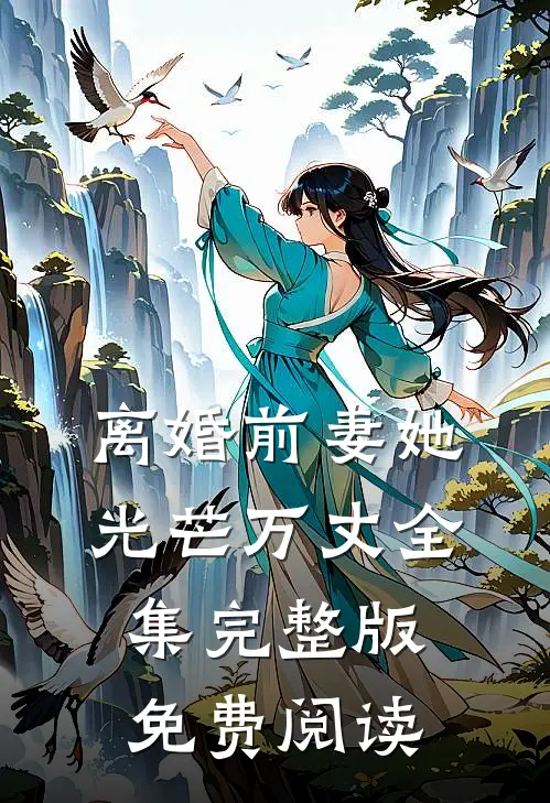 离婚前妻她光芒万丈全集完整版免费阅读