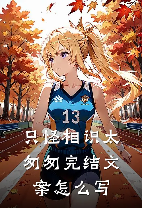 只怪相识太匆匆完结文案怎么写