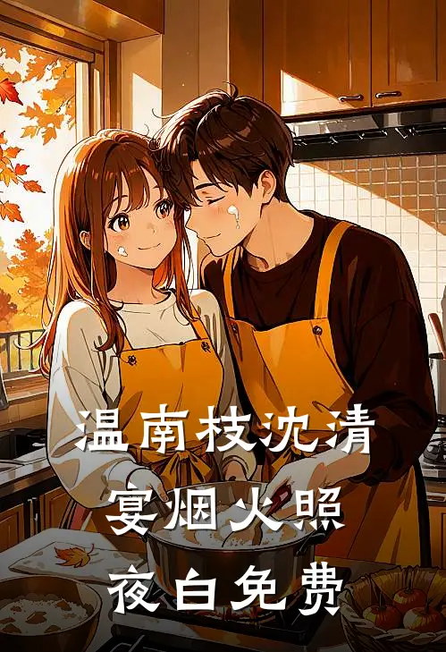 温南枝沈清宴烟火照夜白免费
