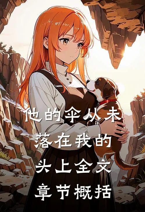他的伞从未落在我的头上全文章节概括