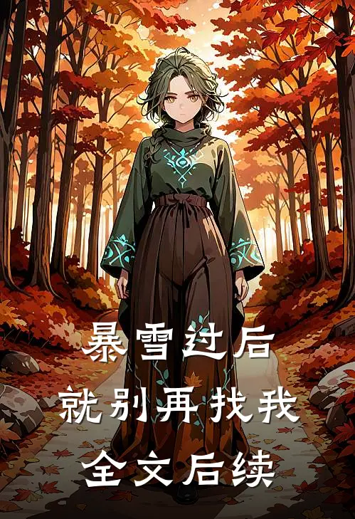 暴雪过后,就别再找我全文后续在线阅读