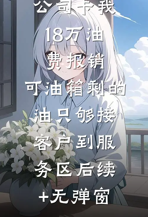 公司卡我18万油费报销，可油箱剩的油只够接客户到服务区后续+无弹窗