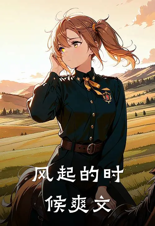 风起的时候爽文
