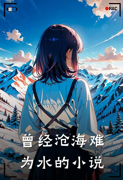 曾经沧海难为水的小说