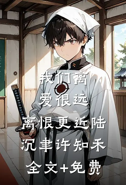 我们离爱很远，离恨更近陆沉聿许知禾全文+免费