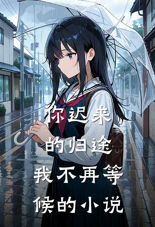 你迟来的归途，我不再等候的小说