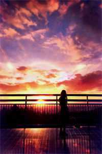 西平风起云未舒完整阅读