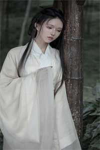 梧桐叶落时后续+番外