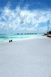 奶奶死后，我把婚礼变葬礼林晚晚江玄后续+完结