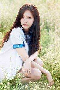 白昼起笙歌全文+免费