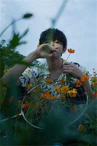 高原上，他说我是命中注定短篇