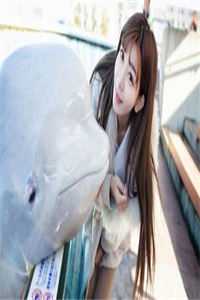 半生云，半生雪的小说