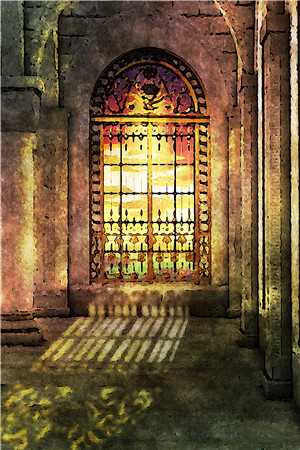 凭她花落又逢秋全文免费