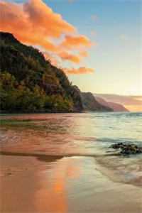 你给的砒霜，我当余生尝前文+番外