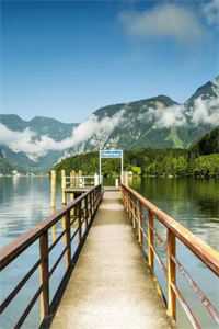 我妈让我把婚房让给表弟完本