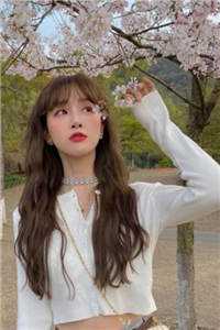 女友坦白被扫黄，我脱离系统后全员悔疯免费阅读