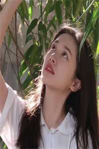 就像蝴蝶飞不过那座山小说