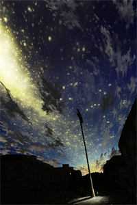 陪她看尽维港夜的小说