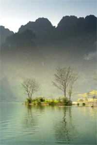 浮生如梦初醒最新章节列表