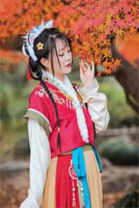 西平风起云未舒阅读