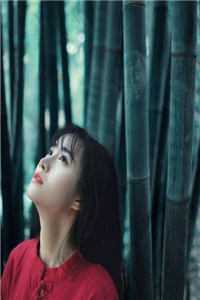 青丝不许负雪信陆东宸林婉秋后续+完结