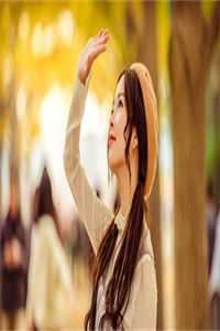 长风过境，往事逢秋全文免费